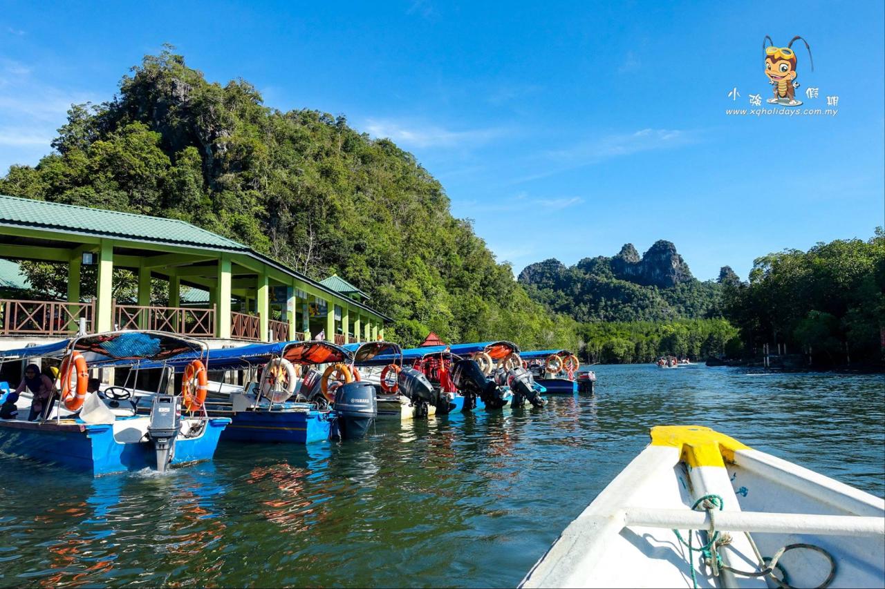 Jelajahi Mangrove Langkawi: Wisata Alam dan Ekologi